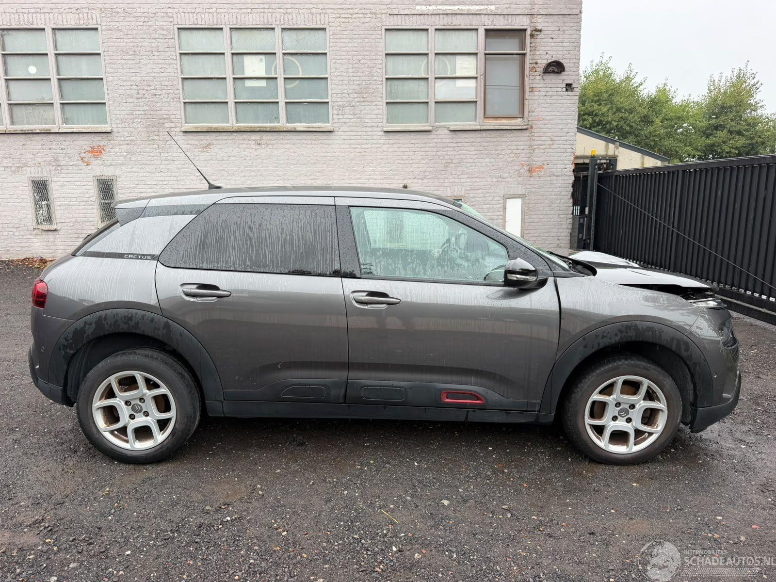 Citroën C4 cactus CACTUS FLAIR