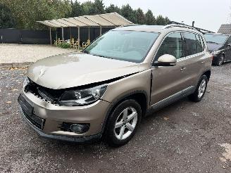 Volkswagen Tiguan 2.0 DTI picture 12