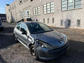 Peugeot 206 1.2I picture 6