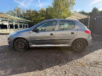 Peugeot 206 1.2I picture 24