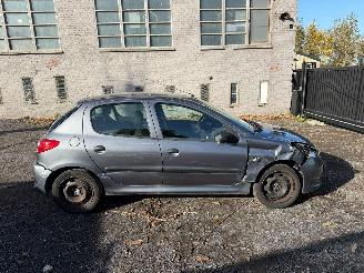 Auto incidentate Peugeot 206 1.2I 2010/1