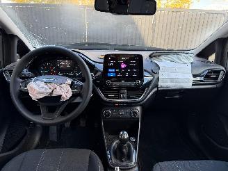 Ford Fiesta BUSINESS picture 26