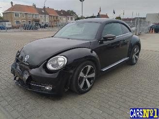 Volkswagen Beetle  picture 1