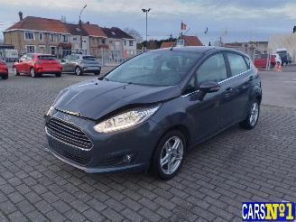 Schadeauto Ford Fiesta  2013/11