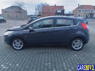 Ford Fiesta  picture 7