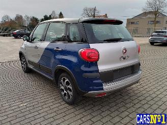 Fiat 500L  picture 6