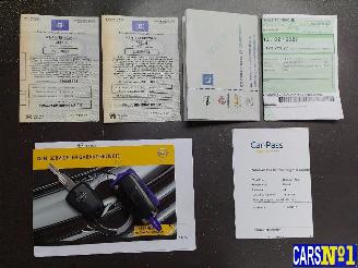 Opel Antara  picture 21