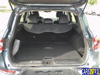 Renault Kadjar  picture 22