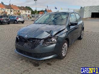 Coche accidentado Skoda Fabia  2019/12