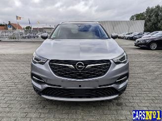 Opel Grandland (X) picture 2