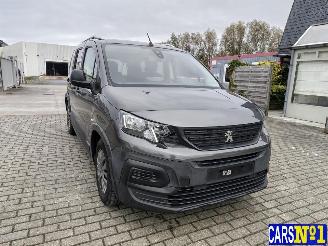Peugeot Rifter  picture 2