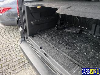 Peugeot Rifter  picture 18