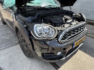Mini Countryman Cooper S E ALL4 Chili picture 16
