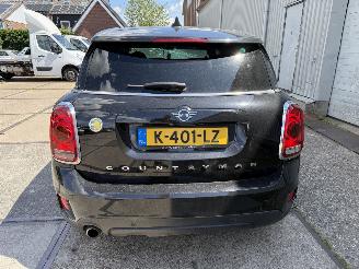 Mini Countryman Cooper S E ALL4 Chili picture 6