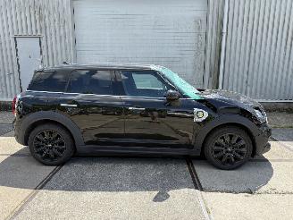 Mini Countryman Cooper S E ALL4 Chili picture 9
