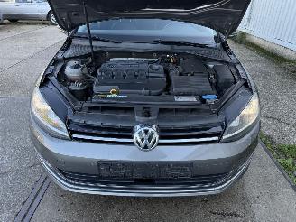 Volkswagen Golf Variant 1.6 TDI DSG picture 10