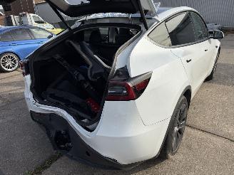 Voiture accidenté Tesla Model Y Long Range RWD 75kWh 2024/9