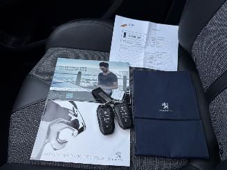 Peugeot 3008 1.2 PureTech  Blue Lease Premium picture 20