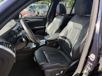 BMW X3 xDrive 30e M-Sport Panoramadak picture 25