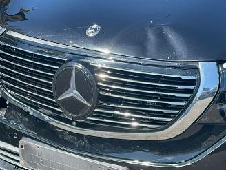 Mercedes EQC 400 4MATIC NAVI CAMERA LEDER LED picture 18