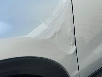 Fiat 500X PANORAMADAK NAVI CAMERA picture 14