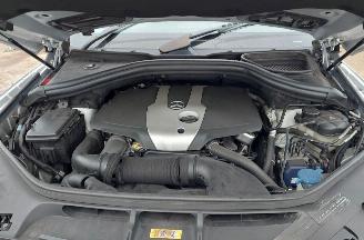 Mercedes ML ML 250 BLEUTEC 4 MATIC picture 5