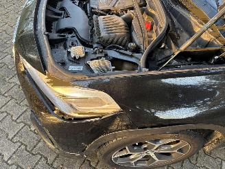 BMW X2 SDRIVE SPORT NAVI CLIMA PDC LED B.J 07-2019 Schroefschade picture 23