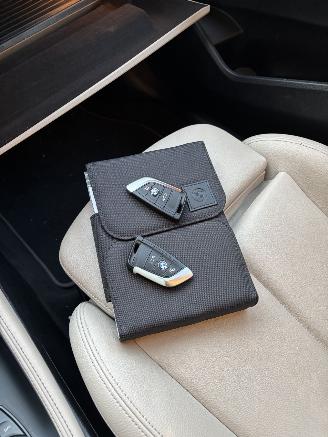 BMW X2 SDRIVE SPORT NAVI CLIMA PDC LED B.J 07-2019 Schroefschade picture 19