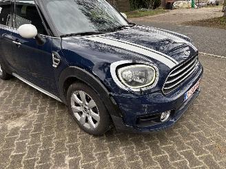 Mini Countryman COOPER 1.5 EDITION NAVI CLIMA CAMERA LED KEYLESS B.J 2019 picture 13