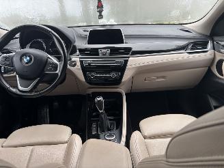 BMW X2 SDRIVE18 SPORT LEER NAVI CLIMA PDC LED B.J 07-2019 SCHROEFSCHADE picture 12