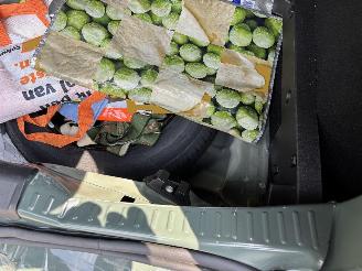 Dacia Sandero STEPWAY 110 PK EXTREEM NAVI CLIMA CAMERA LED B.J 2024 FACELIFT picture 16