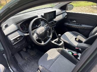 Dacia Sandero STEPWAY 110 PK EXTREEM NAVI CLIMA CAMERA LED B.J 2024 FACELIFT picture 14