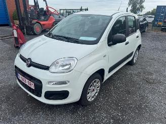 Fiat Panda  picture 1