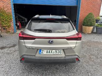 Lexus UX  picture 6