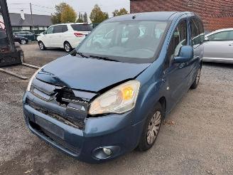 Citroën Berlingo II picture 1