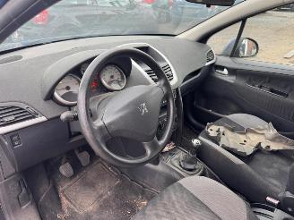 Peugeot 207  picture 16