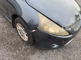 Mitsubishi Grandis  picture 10