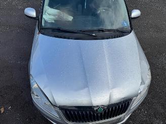 Skoda Fabia  picture 13