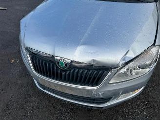 Skoda Fabia  picture 11