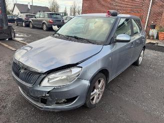 Skoda Fabia  picture 31