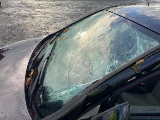 Seat Ibiza  picture 12