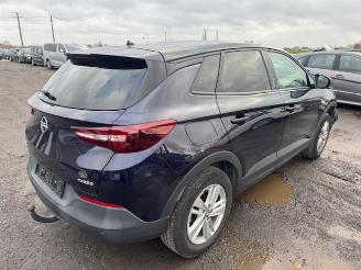 Opel Grandland X picture 5