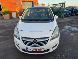 Opel Meriva B picture 1