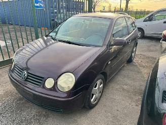 Volkswagen Polo IV picture 2