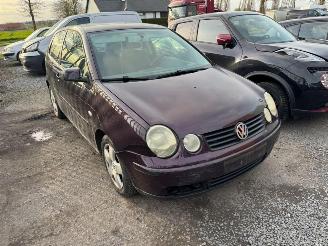 Volkswagen Polo IV picture 8