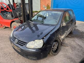 Volkswagen Golf V picture 2