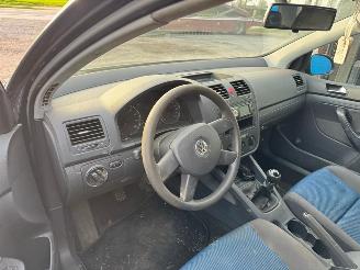 Volkswagen Golf V picture 9