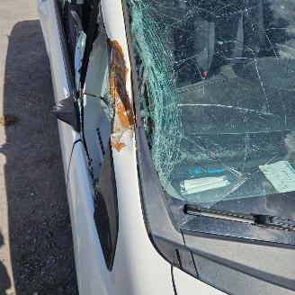 Honda Jazz  picture 7