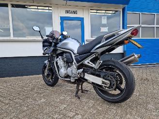 Yamaha  FZS 1000 FAZER picture 10