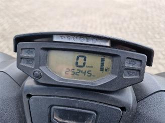 Peugeot  SPEEDFIGHT IV picture 8